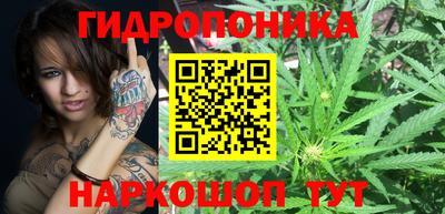 прущие крисы Лесосибирск