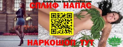 прущие крисы Лесосибирск