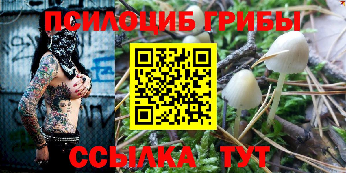 Галлюциногенные грибы прущие грибы Тихвин