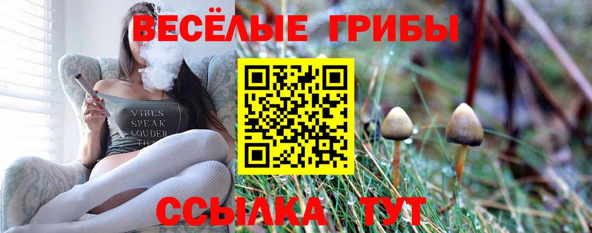 Псилоцибиновые грибы ЛСД  что такое   Тихвин  Вход с VPN 